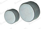 China Neodymium NdFeB Permanent Magnets Disc / Round Rare Earth Zn Used in Switchboard factory